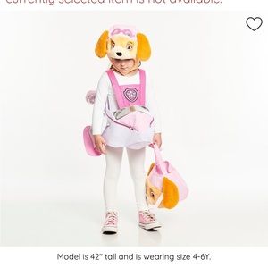 Pottery Barn Kids Paw Patrol Skye Halloween Costume. Size 4-6Y.